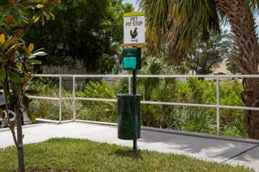 HOME2 SUITES TAMPA WESTSHORE INTRL 3