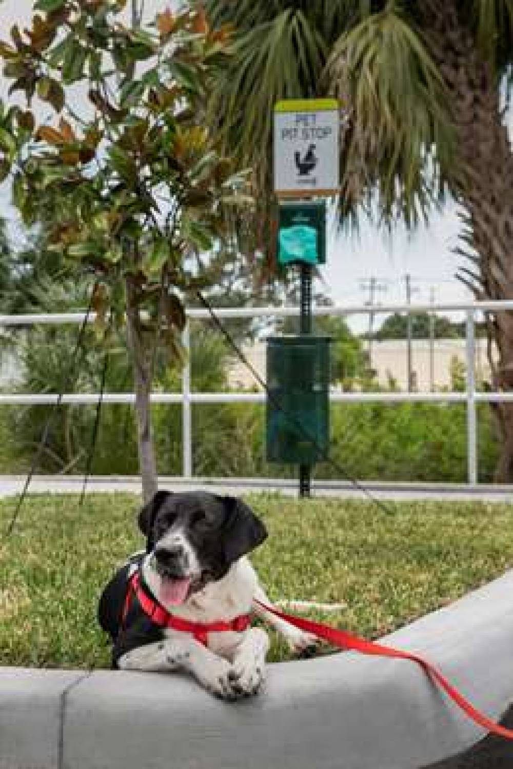 HOME2 SUITES TAMPA WESTSHORE INTRL 7
