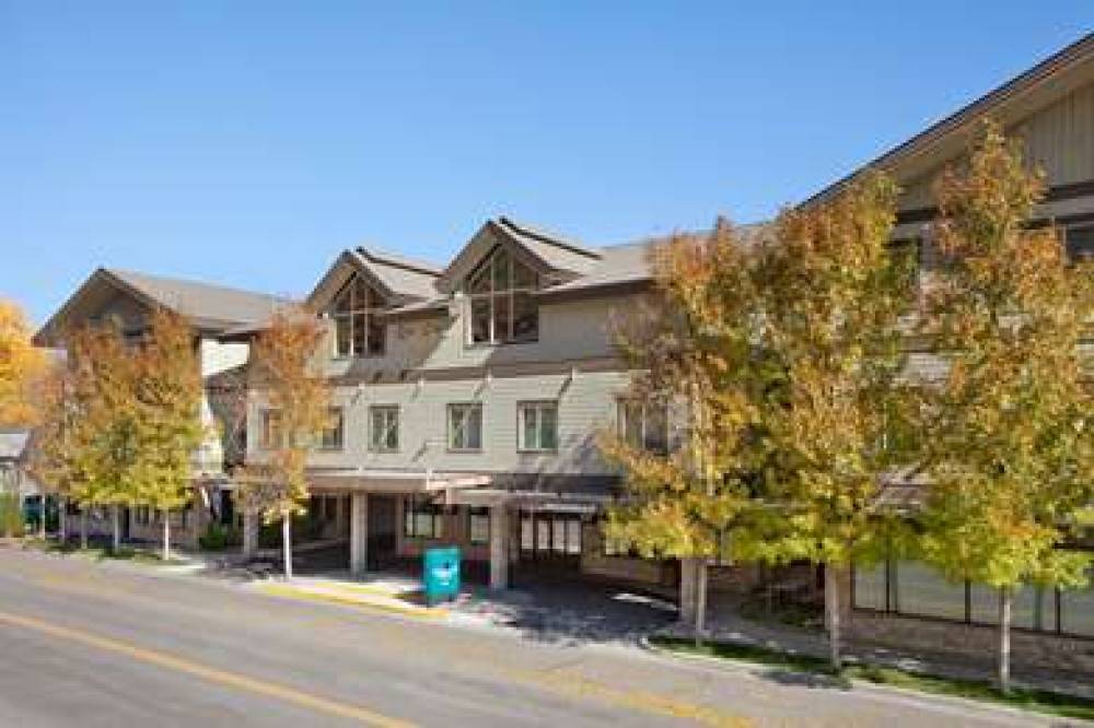 Homewood Suites By Hilton Jackson 3
