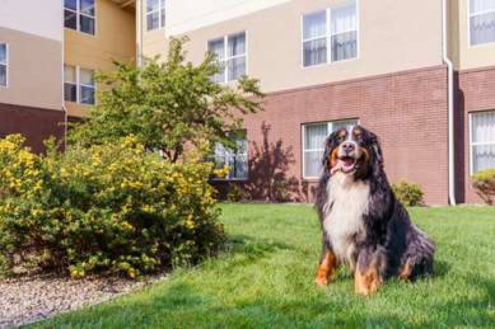 Homewood Suites By Hilton Rochester/Henrietta