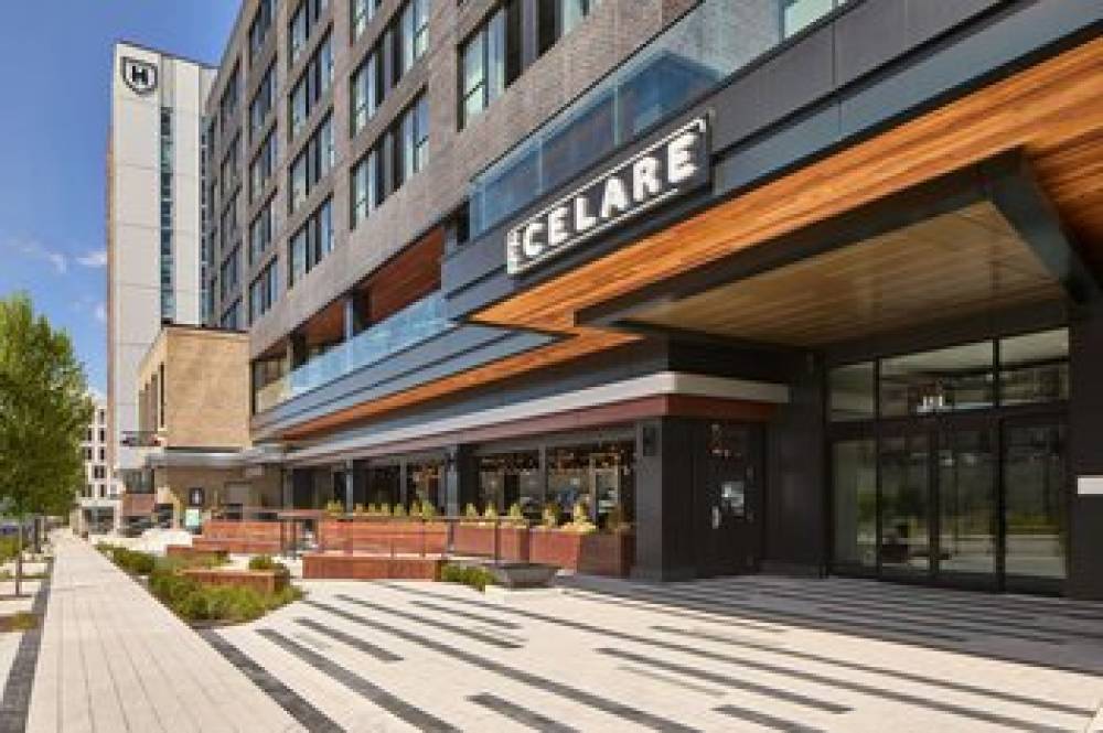 Hotel Celare Cincinnati Midtown A Tribute Portfolio Hotel 4