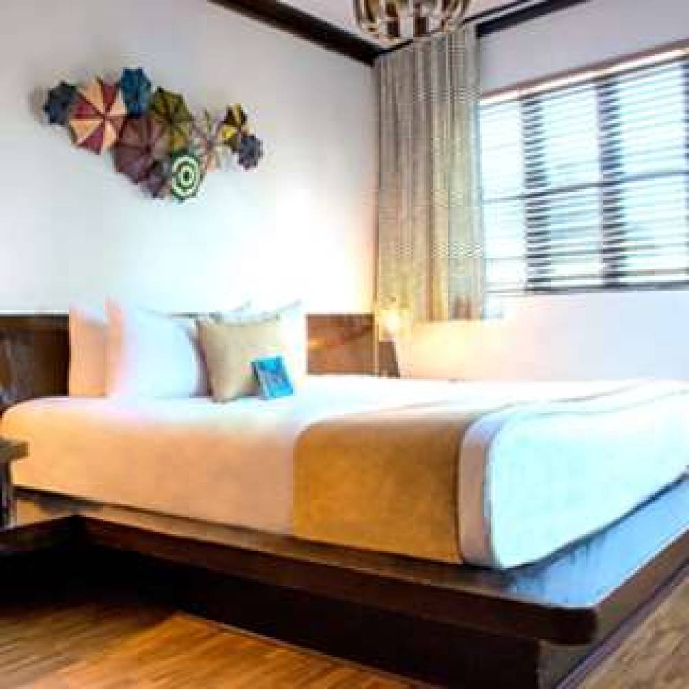 HOTEL CHELSEA 5