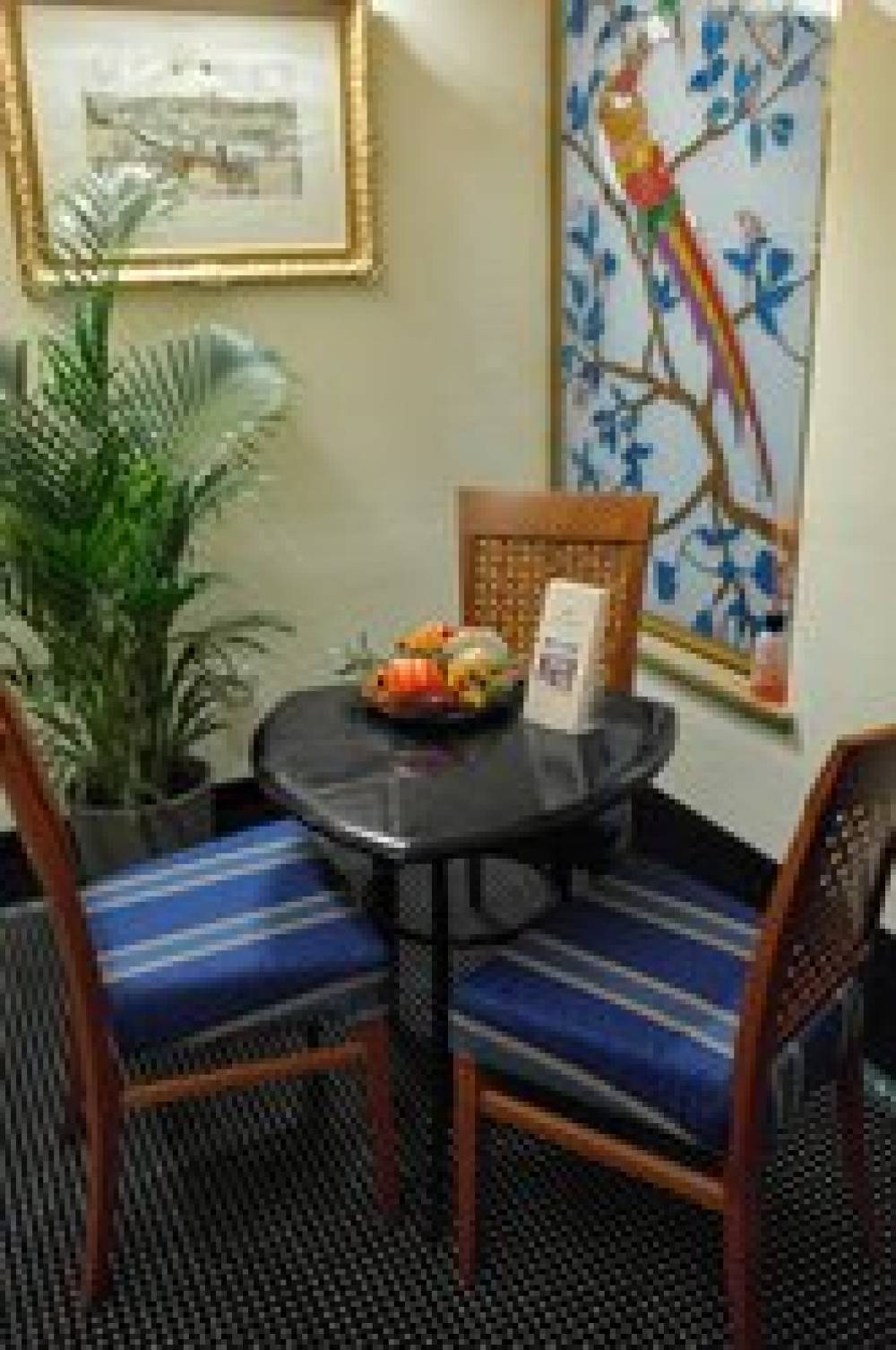 HOTEL DANIEL 5