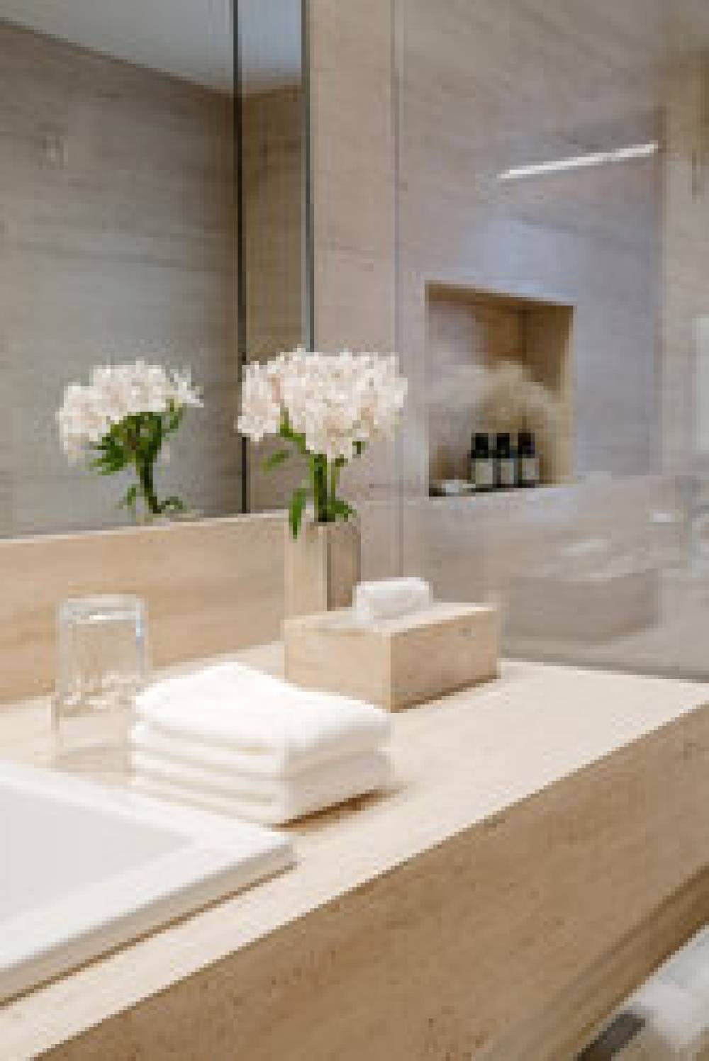 HOTEL FASANO BELO HORIZONTE 5