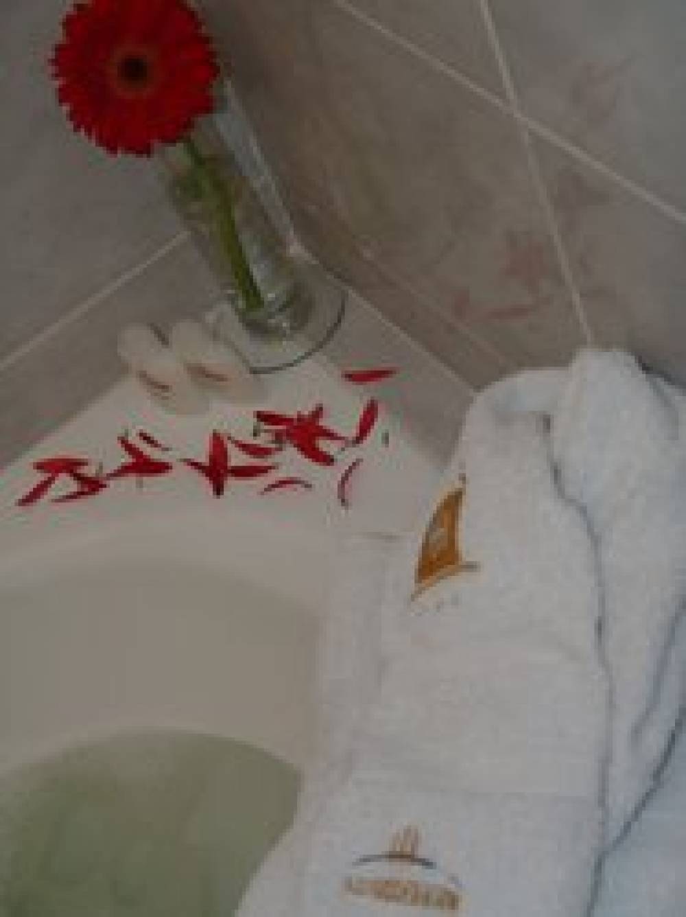Hotel Impala 4