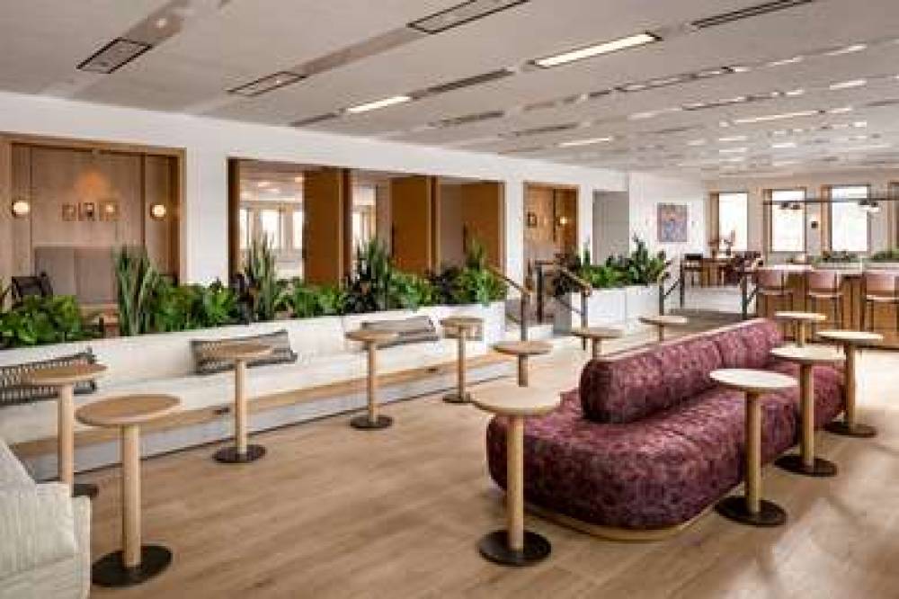 HOTEL MARCEL TAPESTRY BY HILTON 10