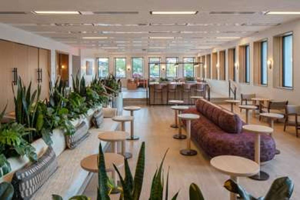 HOTEL MARCEL TAPESTRY BY HILTON 6