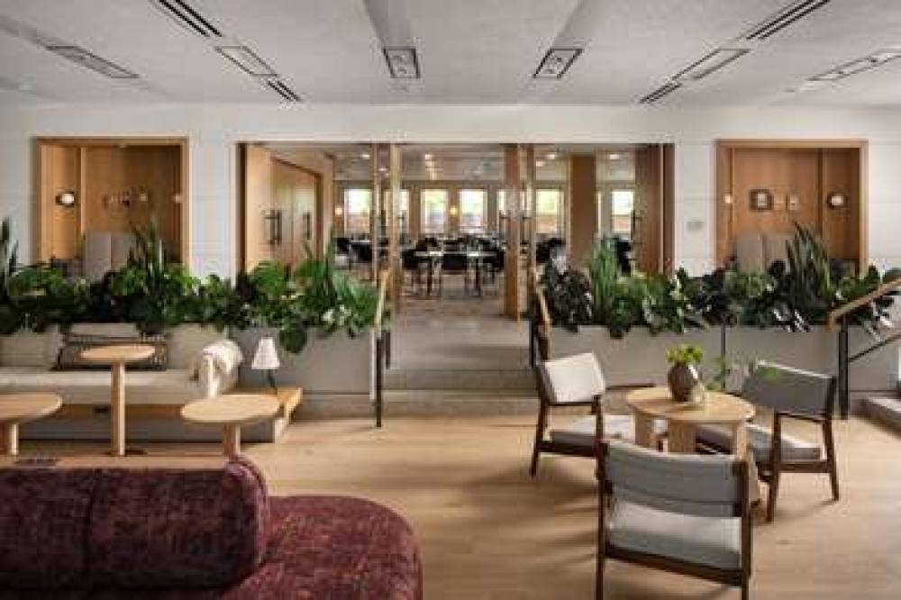 HOTEL MARCEL TAPESTRY BY HILTON 7