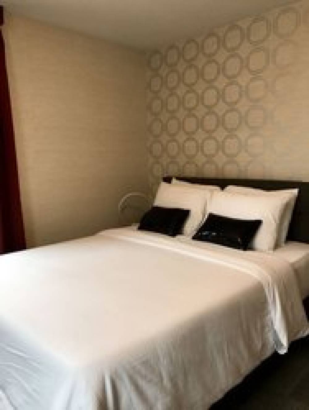 HOTEL MIMOSA 10