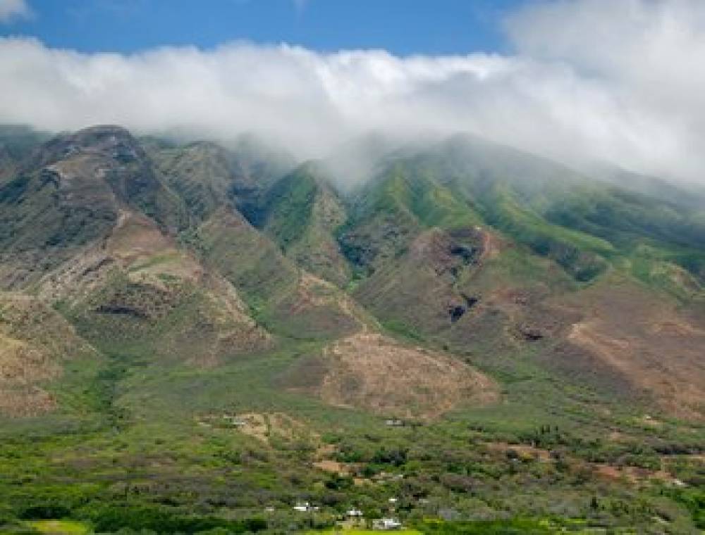 HOTEL MOLOKAI 9