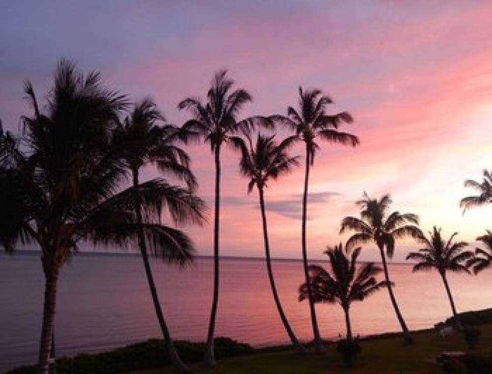 HOTEL MOLOKAI 8