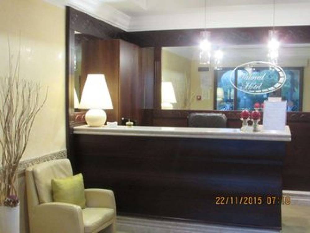 HOTEL PALMED - GIZZERIA LIDO 3