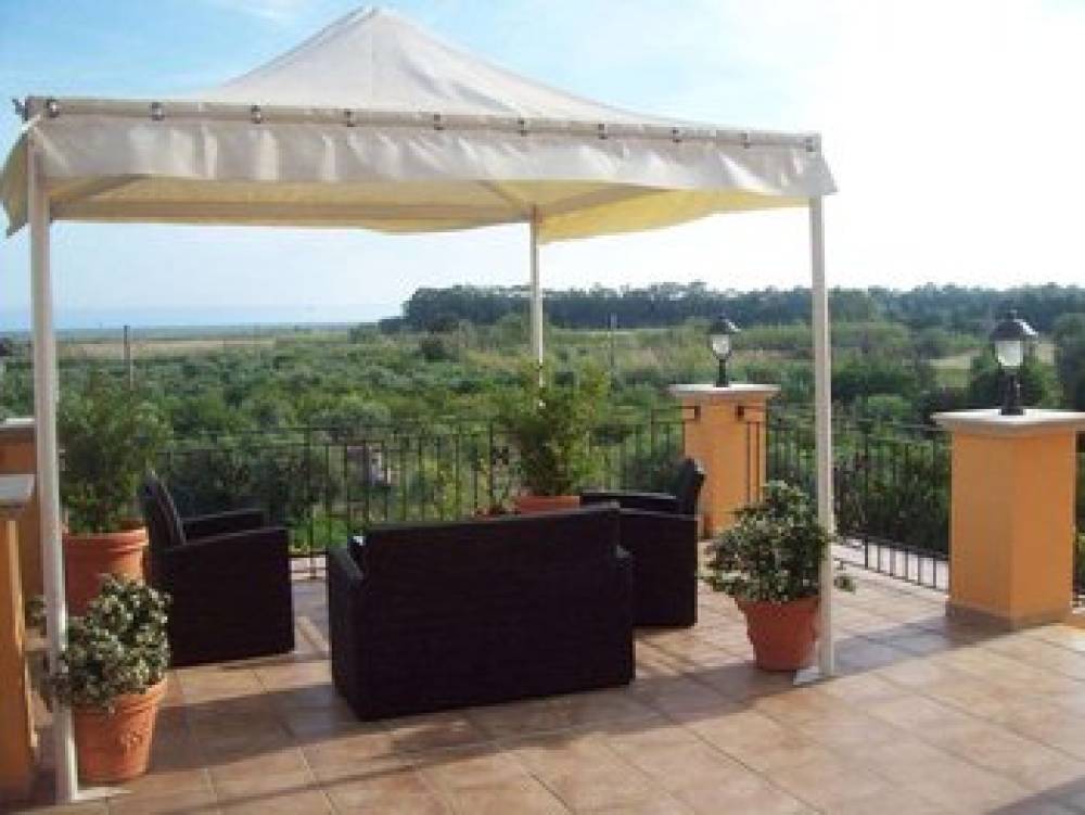 HOTEL PALMED - GIZZERIA LIDO 6