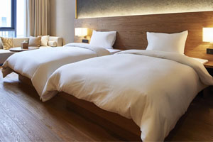 Comfort Suites Palm Desert I 10