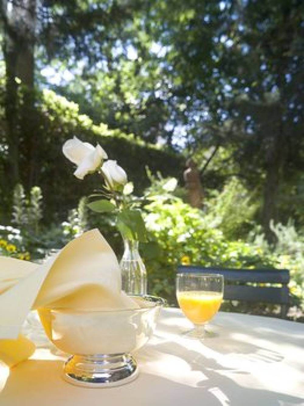 HOTEL VILLA LIANA 7