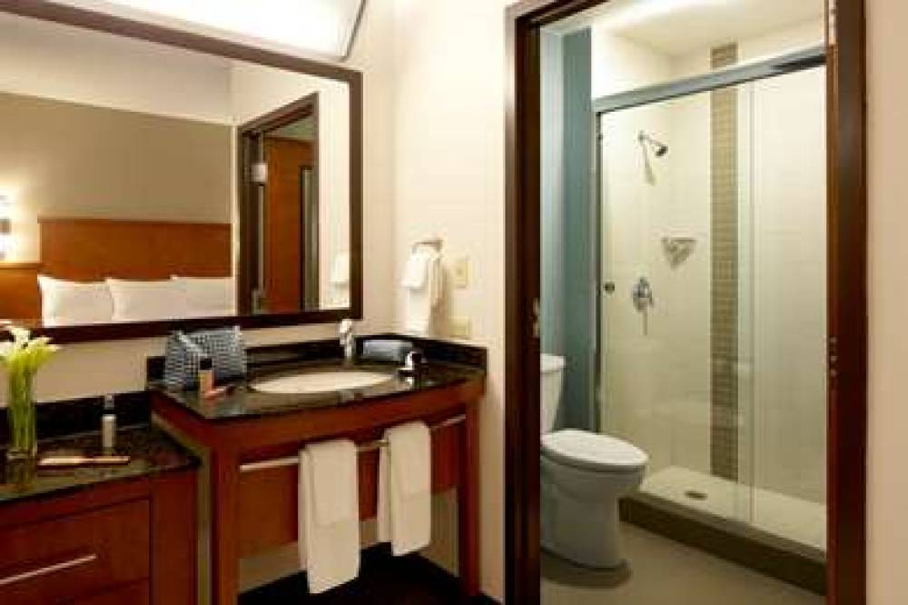 HYATT PLACE ATLANTA AIRPORT-SOUTH 8