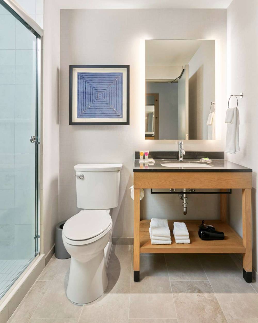 HYATT PLACE CHICAGO-MEDICAL/UNI DIS 4