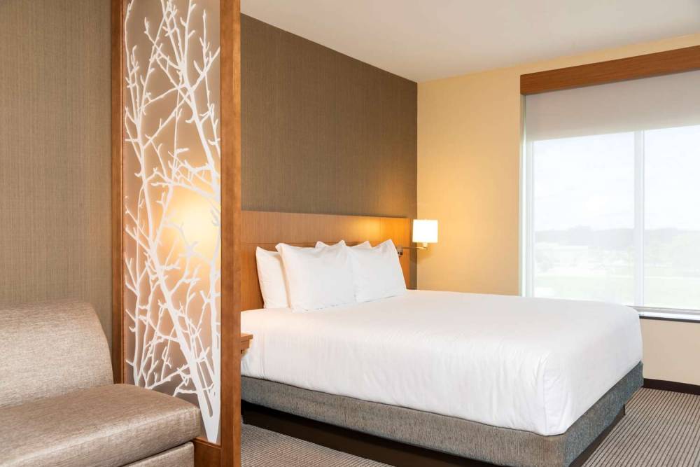 HYATT PLACE FLINT/GRAND BLANC 4