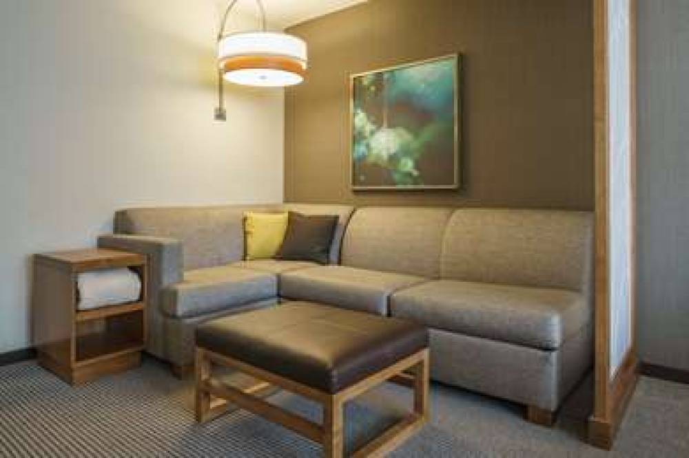 HYATT PLACE HOUSTON/GALLERIA 10