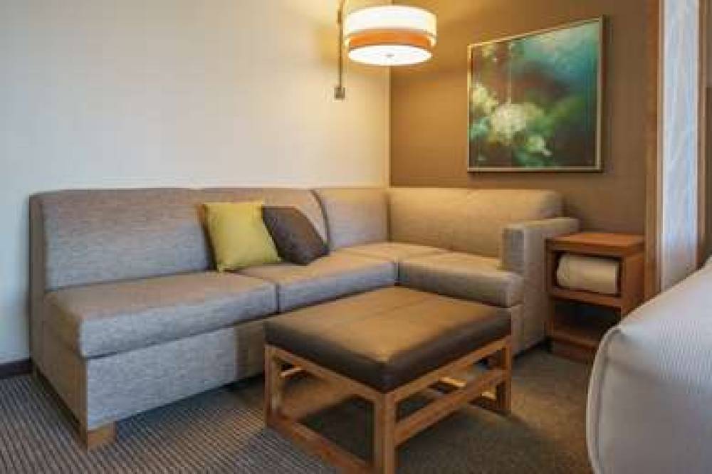 HYATT PLACE HOUSTON/GALLERIA 9