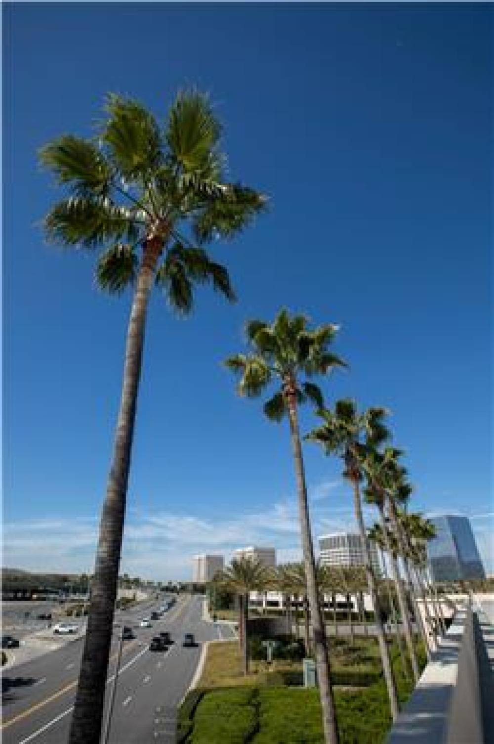 HYATT REGENCY IRVINE 7