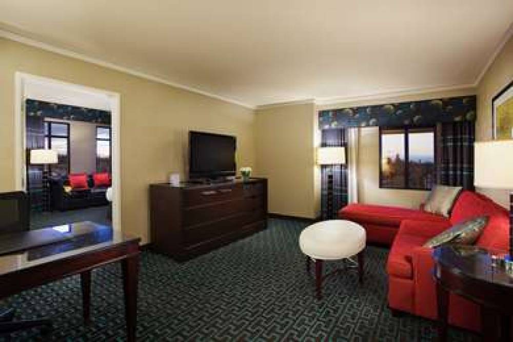 JUNIPER CURIO BY HILTON 10