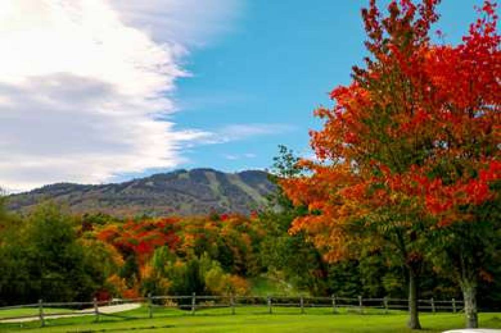 Killington Mtn Lodge Tapestry Hltn