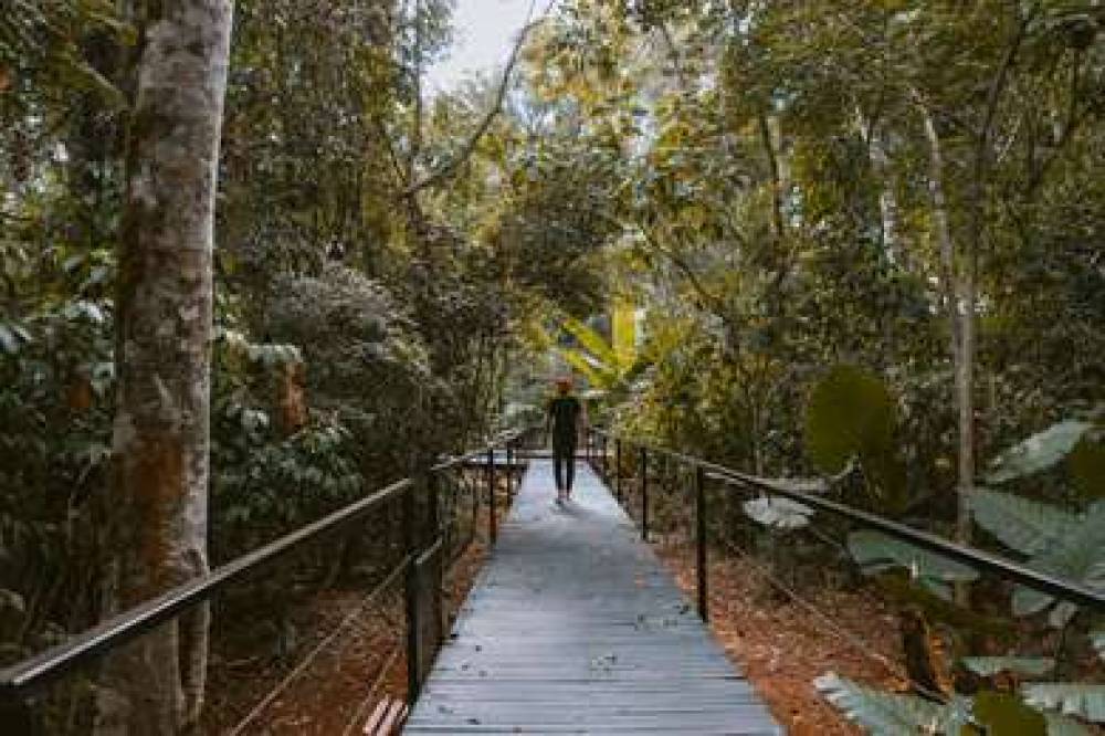 LA CANTERA LODGE DE SELVA BY DON 2