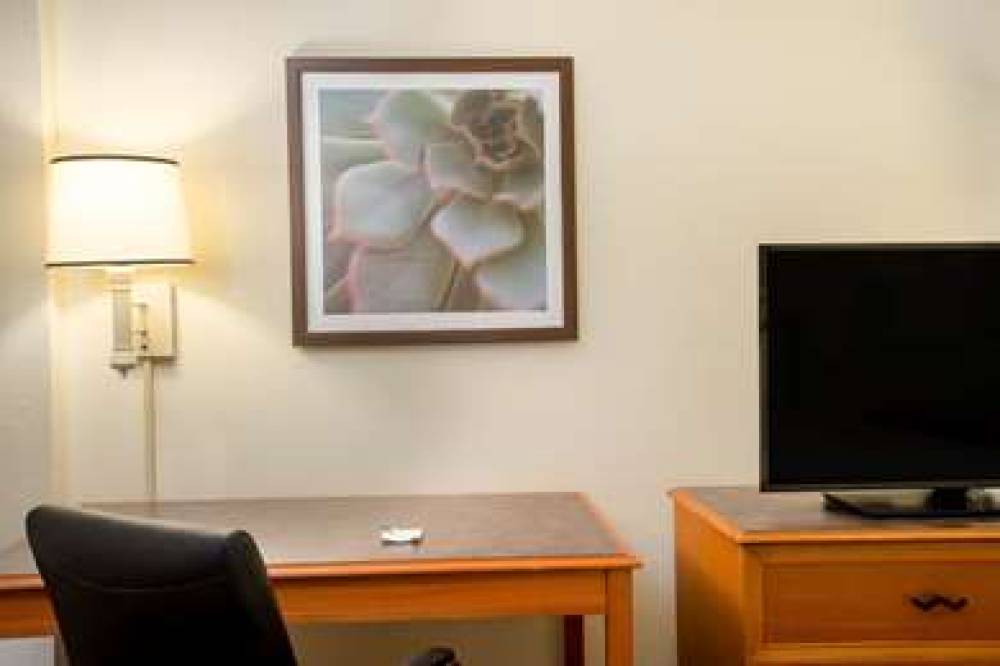 La Quinta Inn & Suites Ft Lauderdale Cypress Creek 9