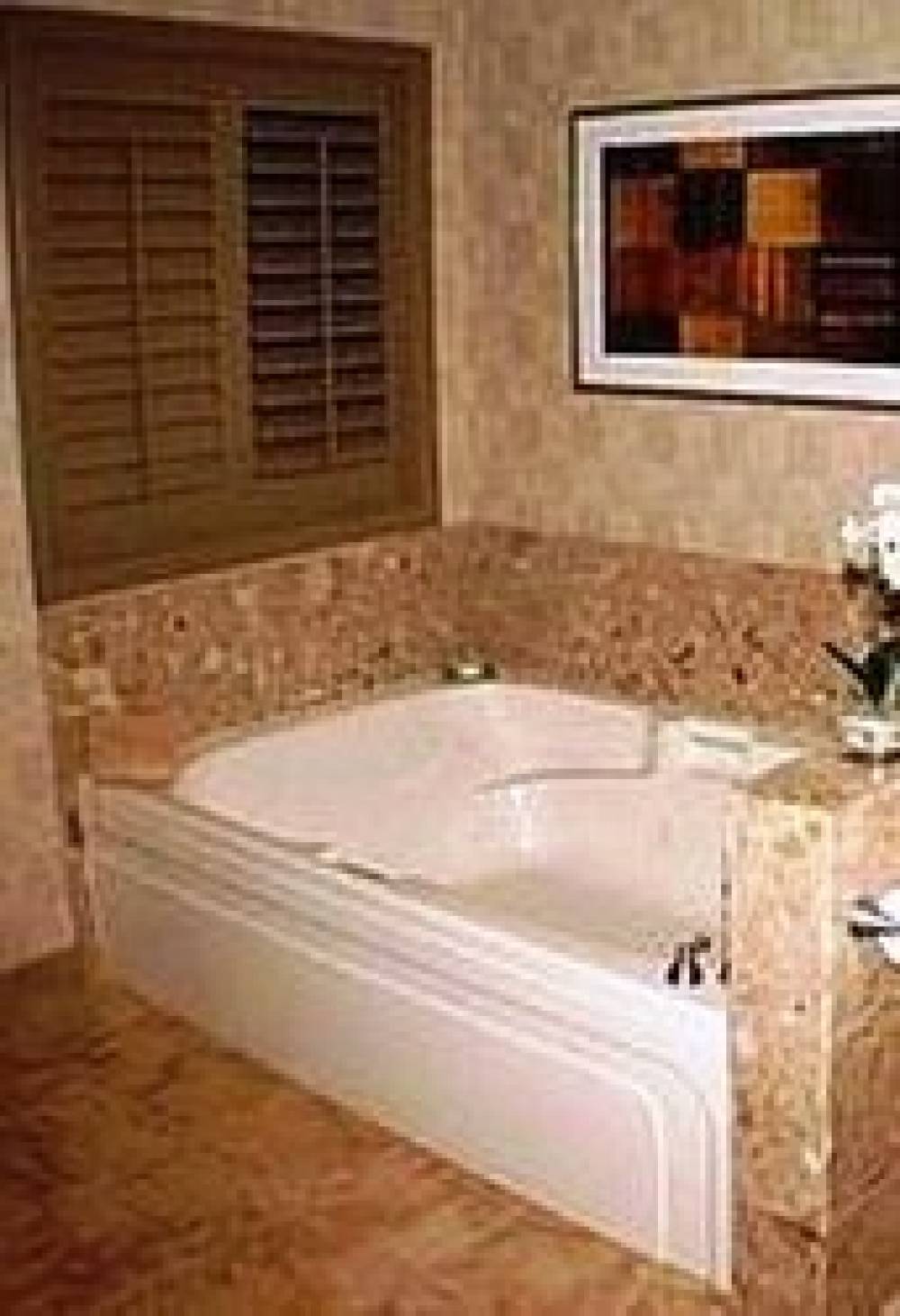 LAS VEGAS PLATINUM SUITES 1