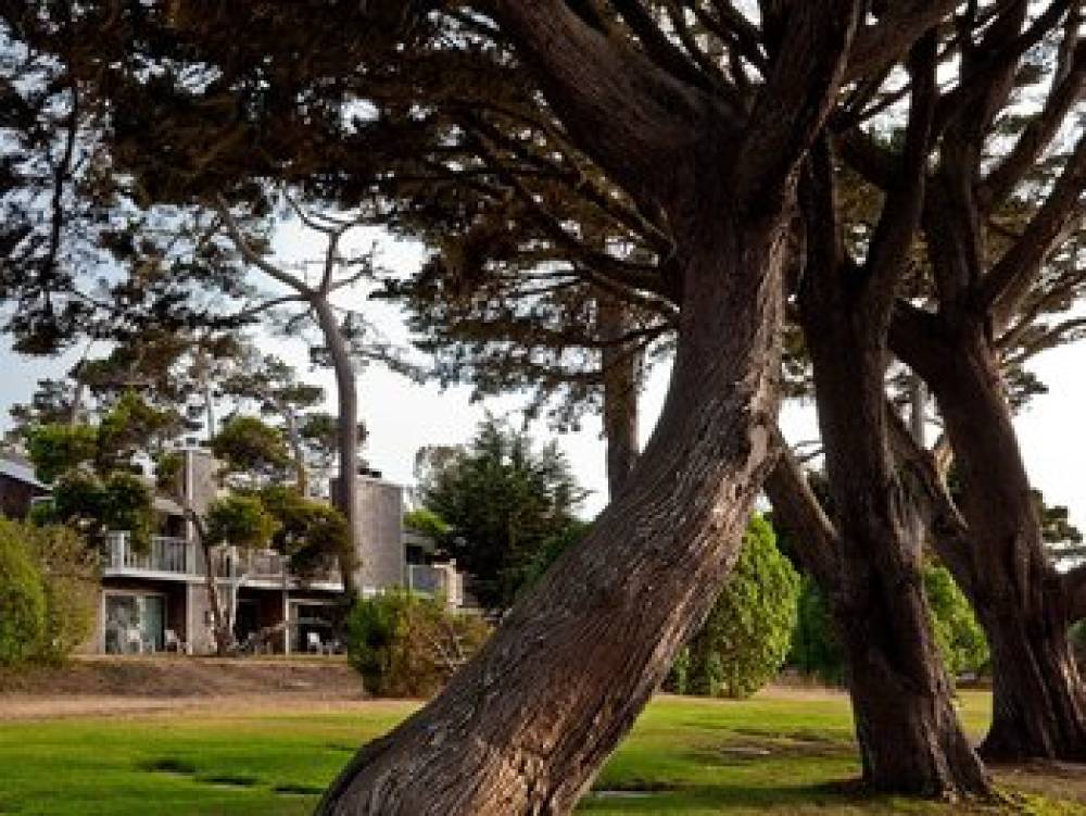 LIGHTHOUSE LODGE AND COTTAGES 7