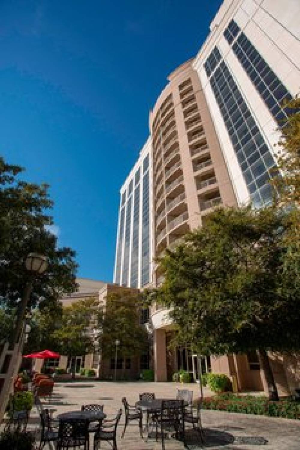 Marriott Dallas Las Colinas 5