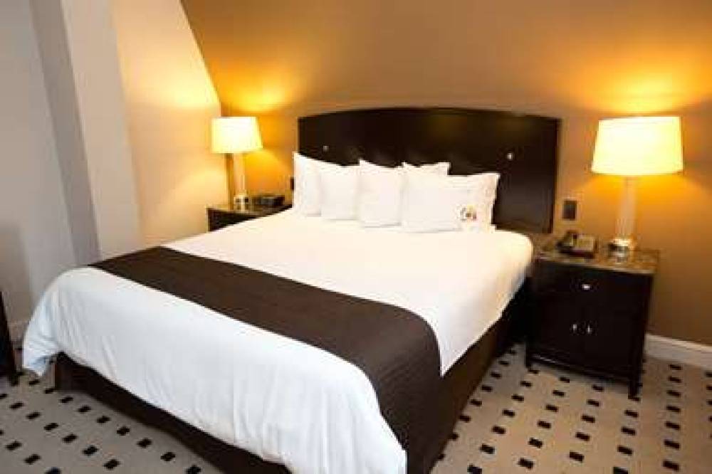 MARTINIQUE NY CURIO BY HILTON 10