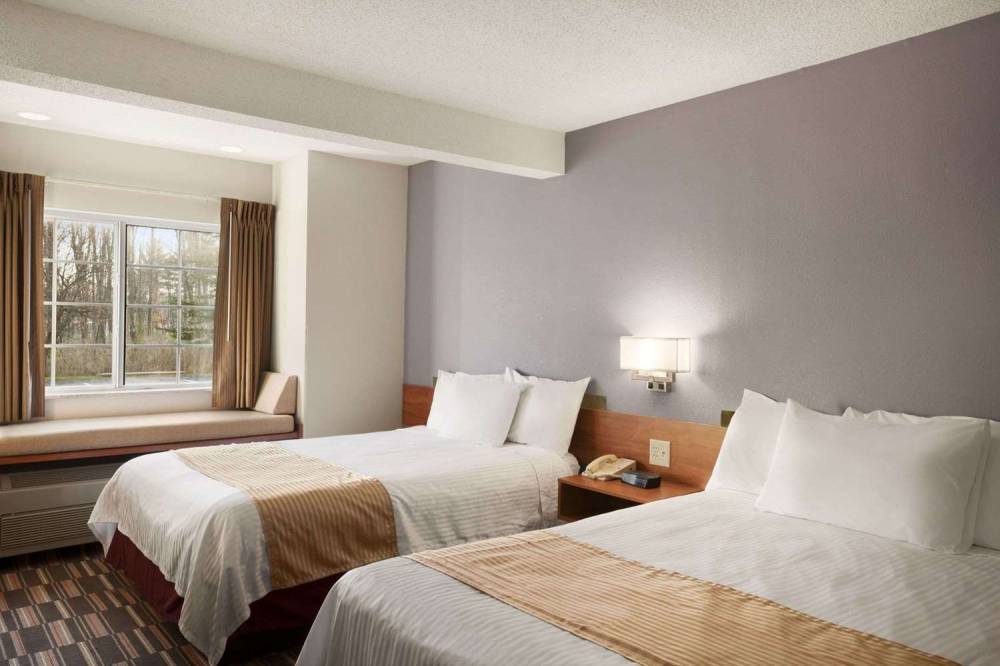 Microtel Inn By Wyndham Albany Airport 6