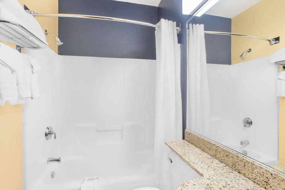 Microtel Inn & Suites By Wyndham Chili/Rochester Airport 5