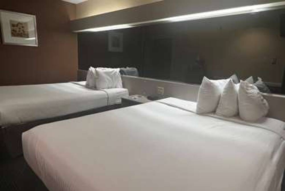 Microtel Inn & Suites By Wyndham Houston 7