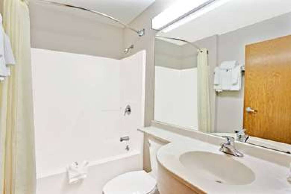 Microtel Inn & Suites By Wyndham Roseville/Detroit Area 8