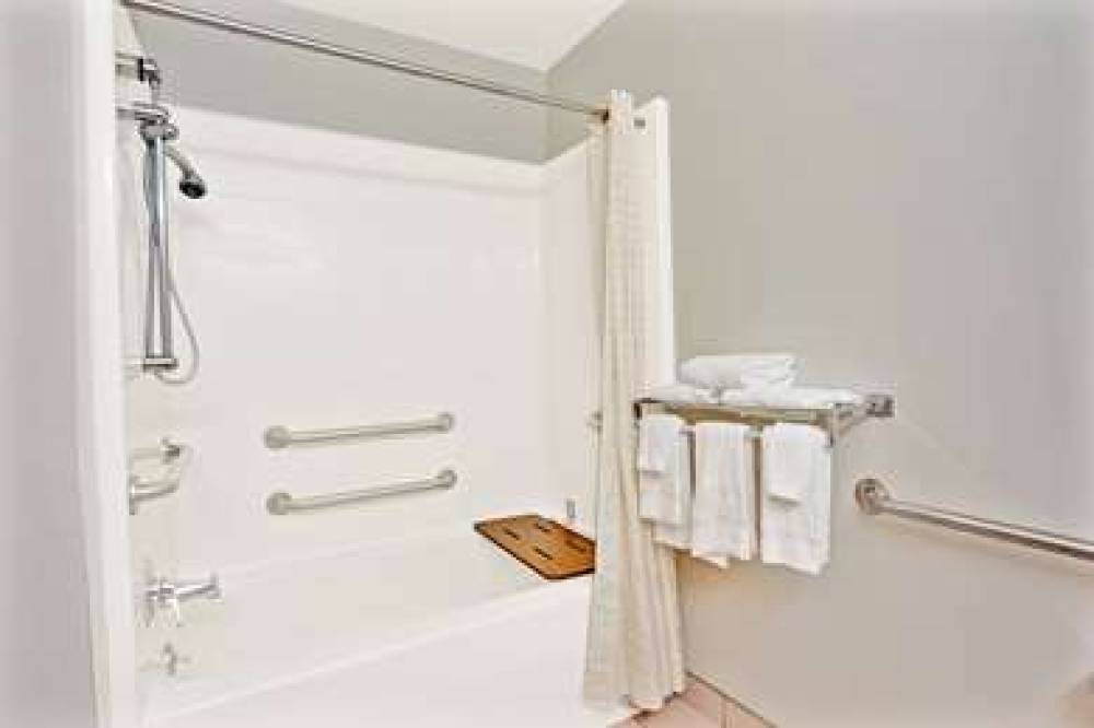 Microtel Inn & Suites By Wyndham Roseville/Detroit Area 6
