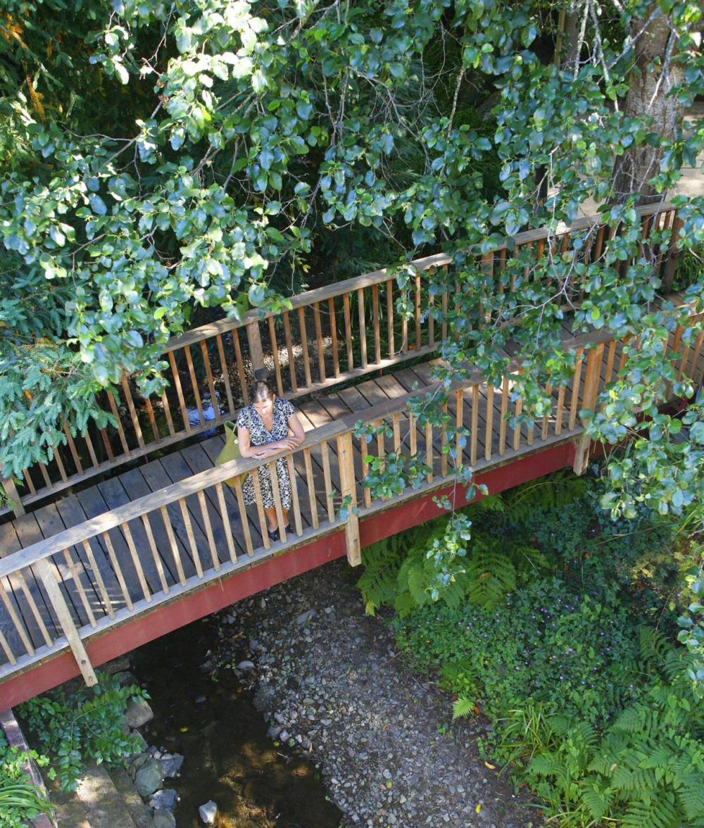 Mill Valley Inn  Marin County 2