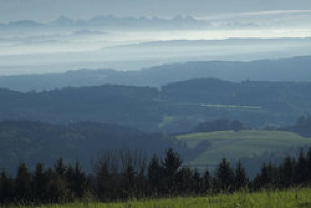 Mohren Naturhotel 4
