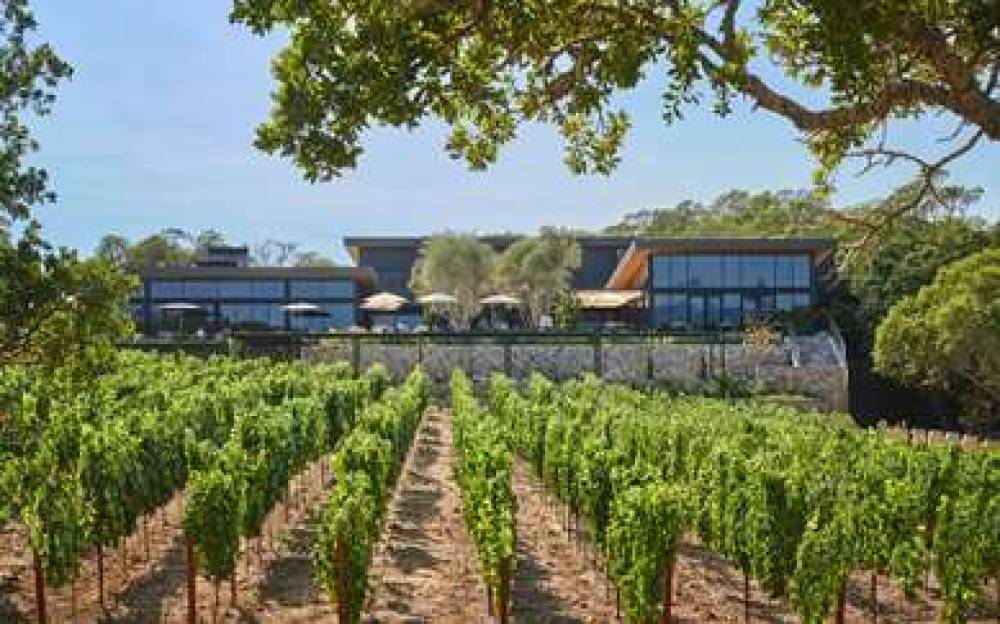 MONTAGE HEALDSBURG 1