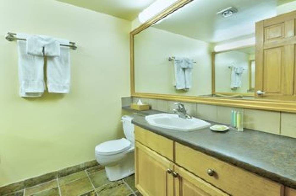 MOUNTAINSIDE LODGE 9