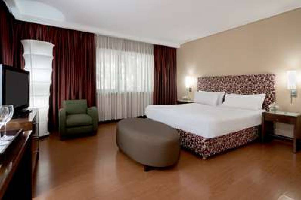 NH MENDOZA CORDILLERA 3