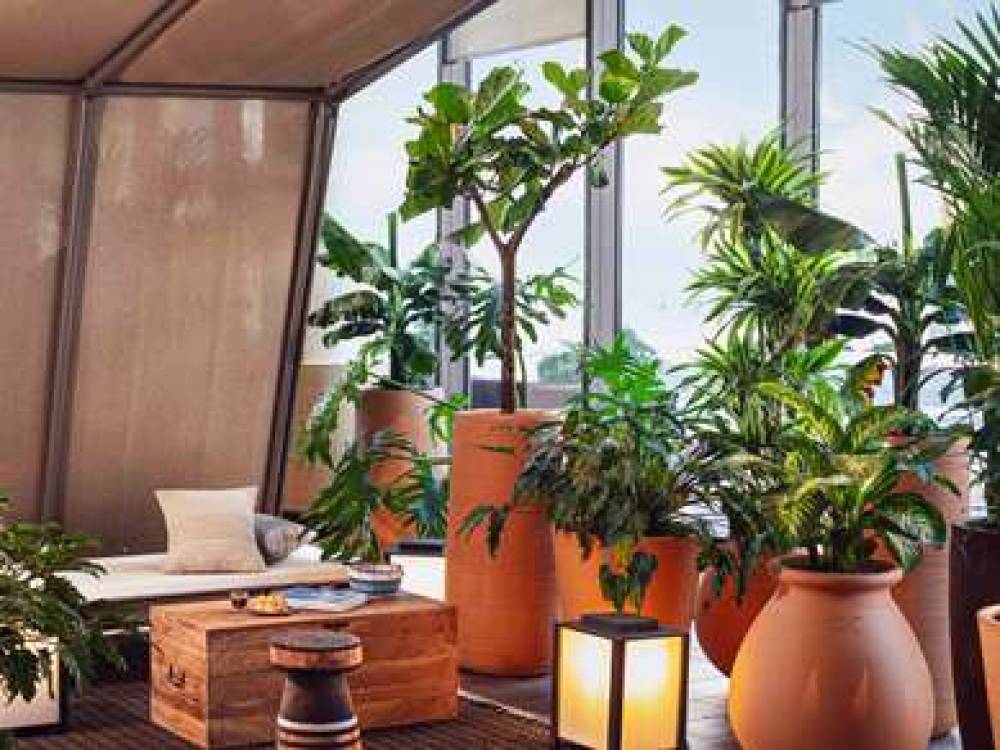 Novotel Paris Porte De Versailles (Opening December 2019) 2