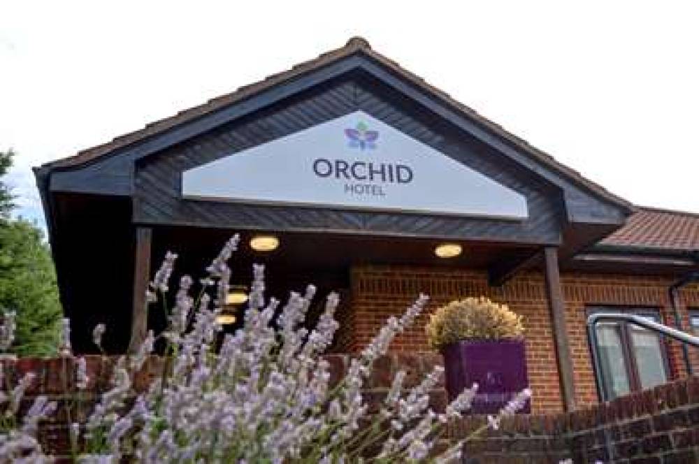 Orchid Epsom, Sure Hotel Collection By Best Western 1