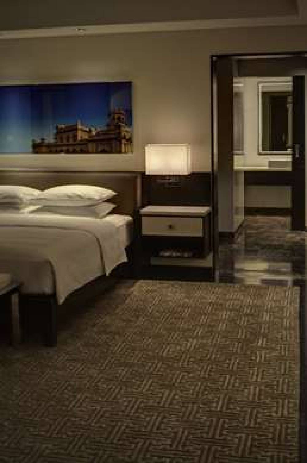 PARK HYATT HYDERABAD 3