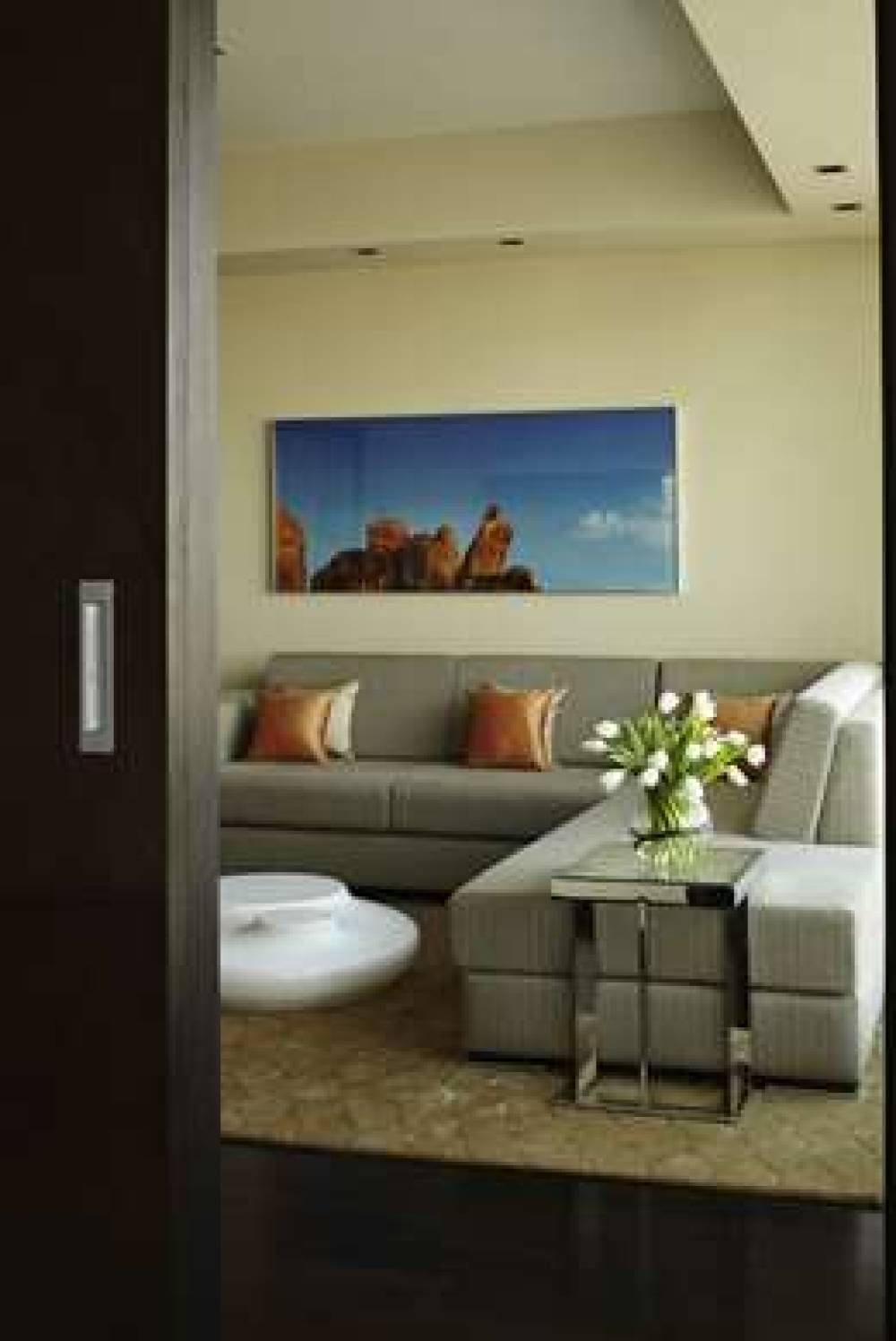 PARK HYATT HYDERABAD 4