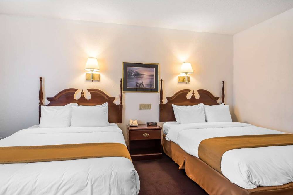 QUALITY INN AND SUITES ALBANY AIRPO 3