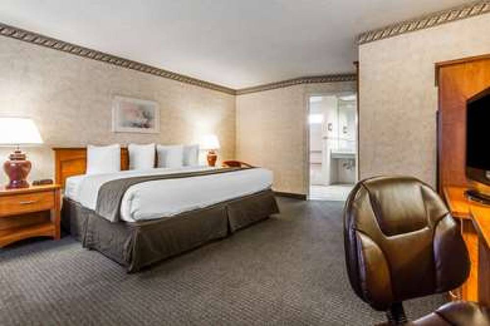 Quality Inn And Suites Silicon Valley 9