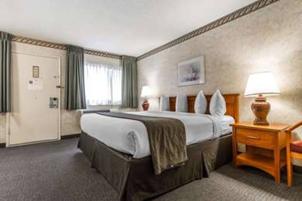 Quality Inn And Suites Silicon Valley 10